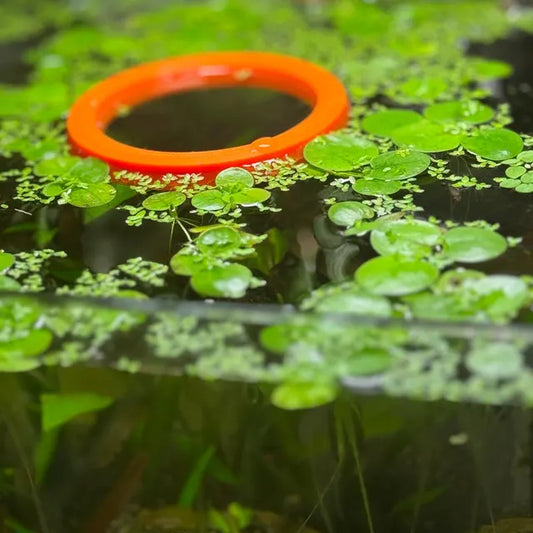 Never Sink Floating Plant Corral/Feeding Portal
