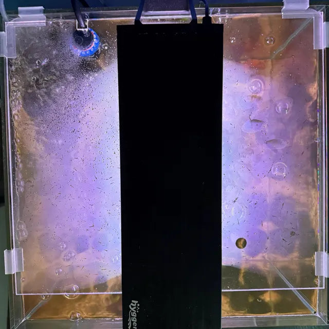 Aquarium Lid Clips for Rimless Tanks - Multiple Sizes