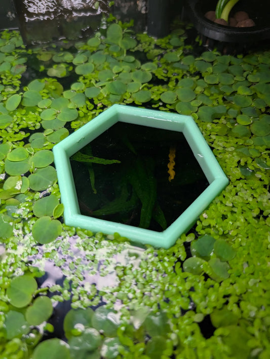 Hexagon - The ORIGINAL NEVER SINK Aquarium Plant Corral / Feeding Ring+ Floating Plant Pick