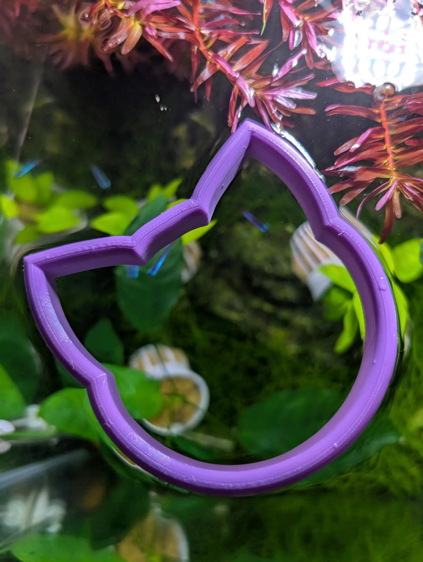 Cat - The ORIGINAL NEVER SINK Aquarium Plant Corral / Feeding Ring+ Floating Plant Pick