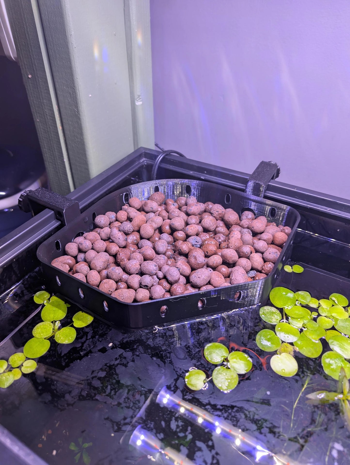Aquarium House Plant Corner Basket - Adjustable