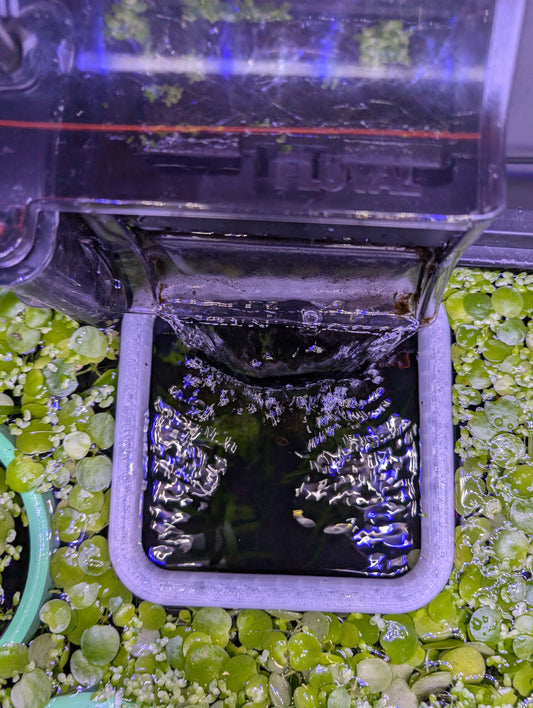 The ORIGINAL NEVER SINK Square Aquarium Plant Corral / Feeding Ring+ Floating Plant Pick