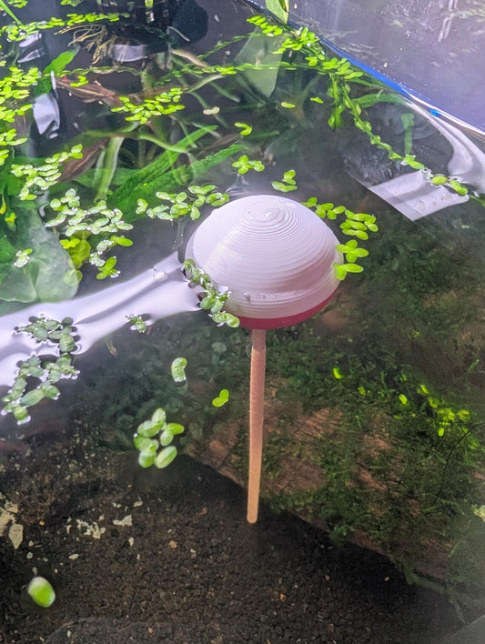 Fishing Lure Floating Shrimp Lollipop Holder - 2 pack
