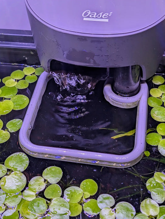 The ORIGINAL Never Sink Plant Corral - Feeding Portal Auto-Adjusting Hang On Back Filter Plant Separator