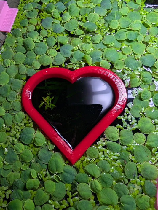 Heart Aquarium Feeding Ring: Floating Plant Corral