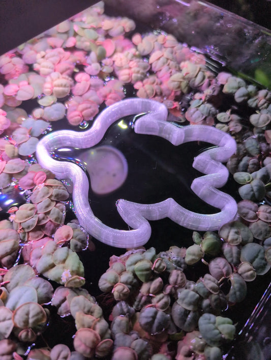 Turtle - The ORIGINAL NEVER SINK Aquarium Plant Corral / Feeding Ring+ Floating Plant Pick