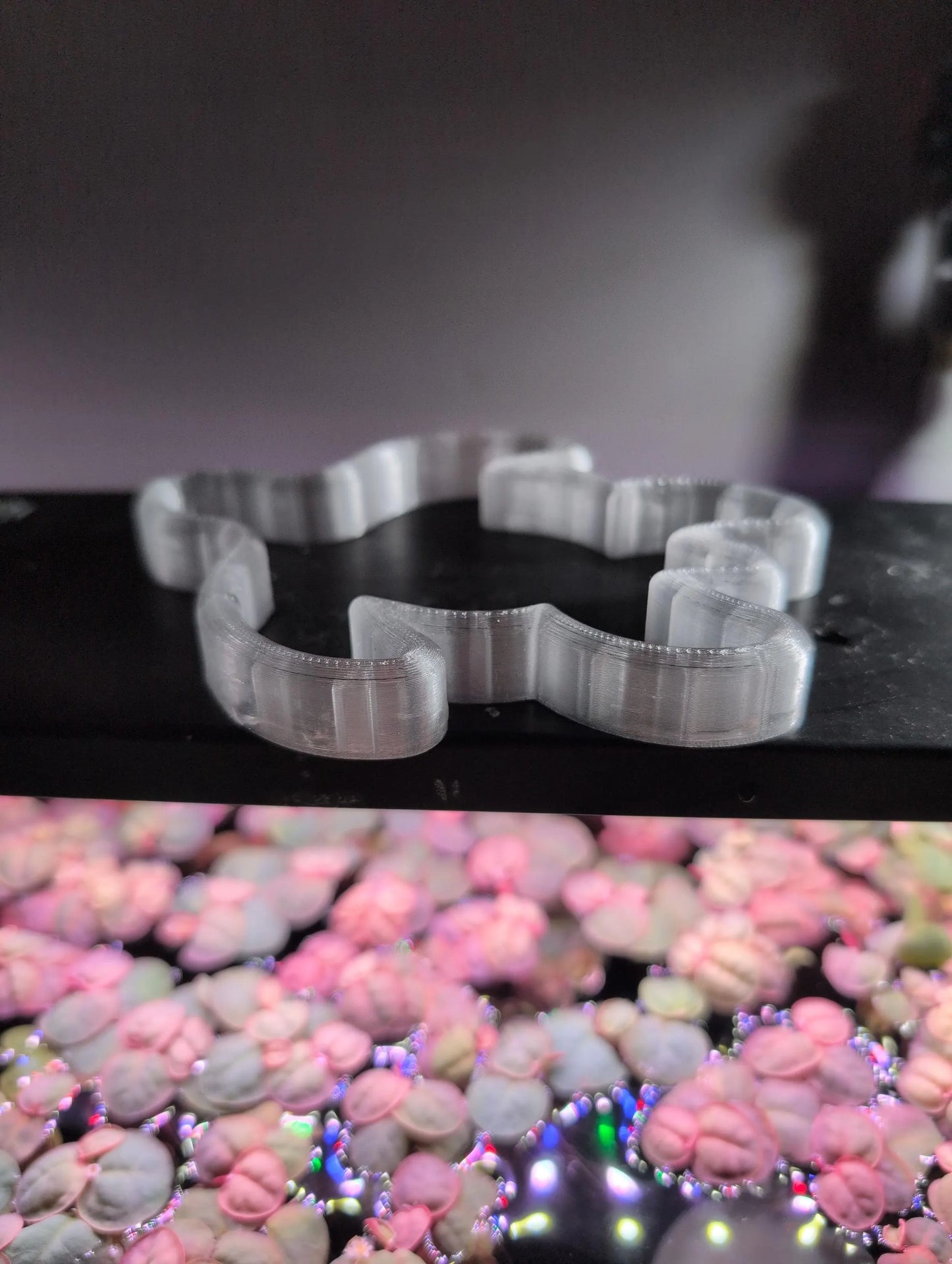Turtle - The ORIGINAL NEVER SINK Aquarium Plant Corral / Feeding Ring+ Floating Plant Pick