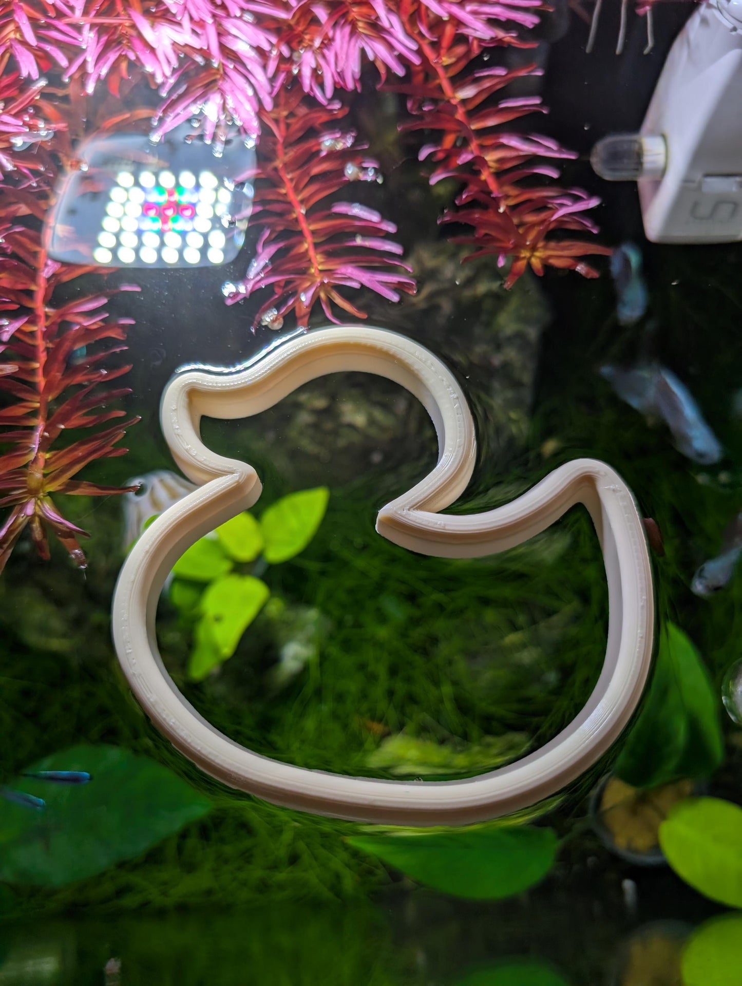 Rubber Ducky - The ORIGINAL NEVER SINK Aquarium Plant Corral / Feeding Ring+ Floating Plant Pick