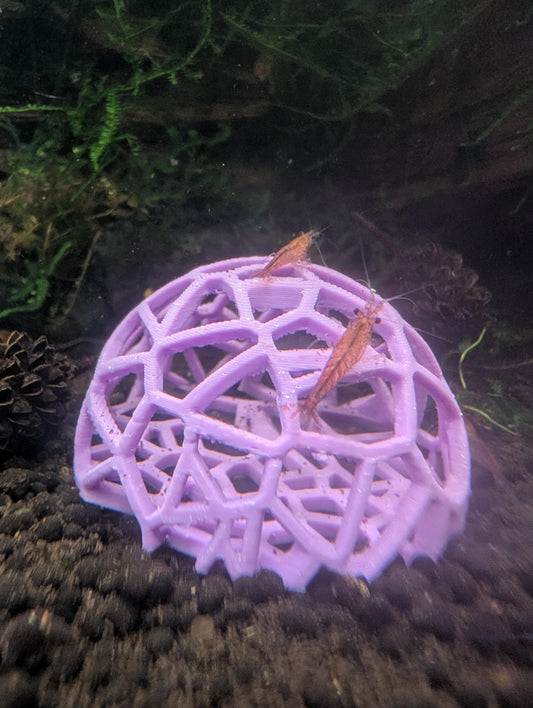 Shrimp Domes - Moss Holder - Aquarium Decor 4 Pack Voronoi Pattern