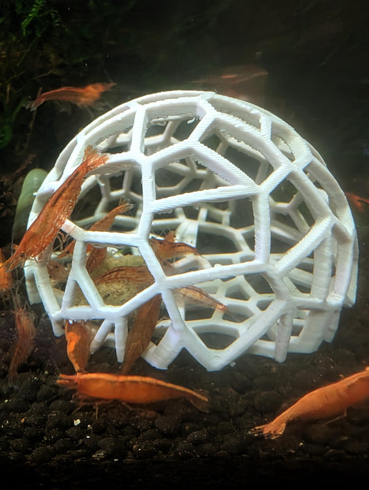 Shrimp Domes - Moss Holder - Aquarium Decor 4 Pack Voronoi Pattern