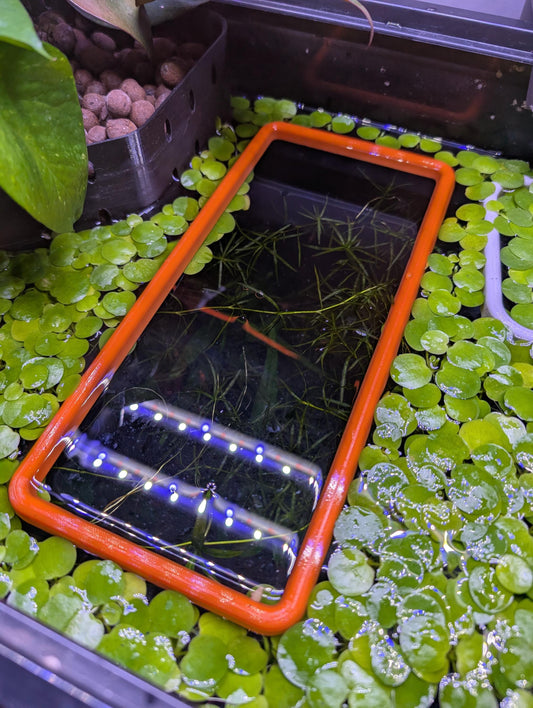 The ORIGINAL NEVER SINK 10 Inch Rectangle Aquarium Plant Corral / Feeding Ring