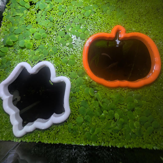 Never Sink Halloween Aquarium Plant Corral: Pumpkin & Ghost Feeding Rings