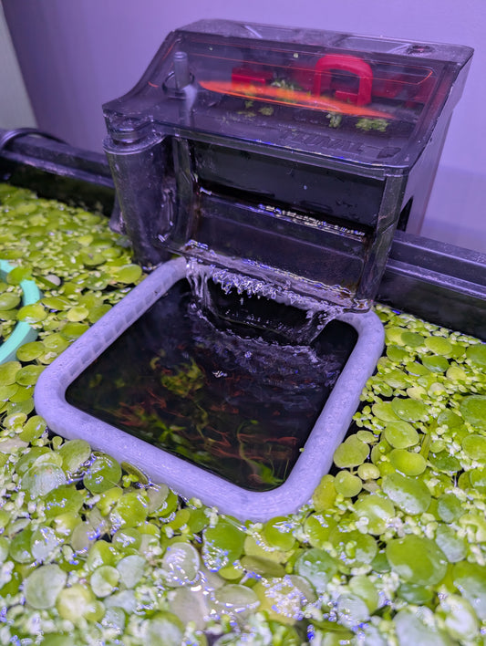 The ORIGINAL NEVER SINK Square Aquarium Plant Corral / Feeding Ring+ Floating Plant Pick
